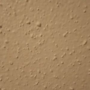 Meet your Posher, Ali